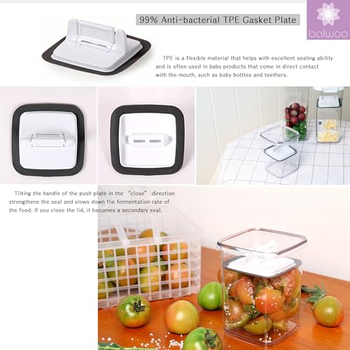 Pickle keeper Press Plate Food Storage Container Organizer for Kimchi Sauerkraut Fermentaion Airtight Lid Locking for Preserved Food (1000ml / 0.3 gal) - size: 1000ml / 0.3 gal