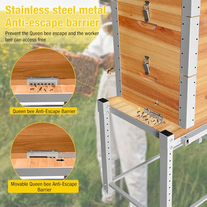 Aivituvin Bee Hive Bee Box 10 Frame Upgrade with All -Around Metal Frame Bee Castle Coated with 100% Beeswax Includes Waxed Foundations,2 Deep Boxes & 1 Medium Box
