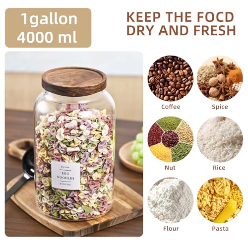 Large Glass Jar with Lid,（1Gallon/4000ML） Airtight Storage Container for Kitchen Countertop, Pantry, Coffee, Tea, Flour, Walnuts and Candy - size: 1Gallon*1