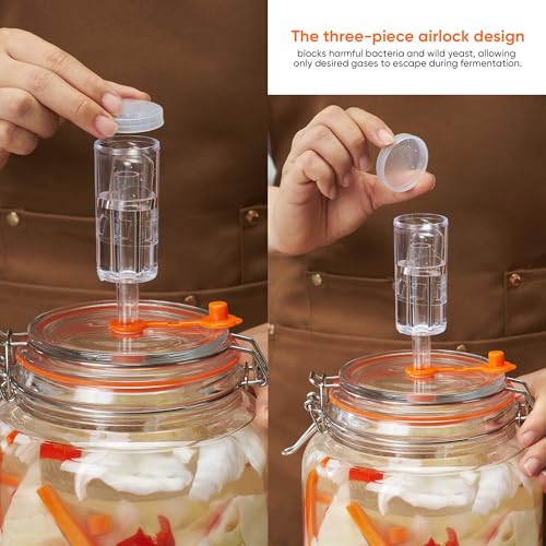 0.6 Gallon Fermentation Jars with Airlocks, 2 Pack Glass Kit | Perfect for Sauerkraut, Kimchi, Kombucha and Pickles - size: 0.6 Gallon