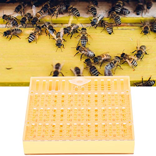 Queen Bee Incubator, Plastic Bee Grafting Less Larva Moving Breeding Box, Beekeeper Tool for Raising Queen Cells with Cups