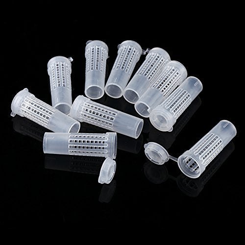 Walfront Queen Bee Rearing Kit 110 Cell Cups with Cell Bar Frame & Cages Beekeeping Tools for Beginner Beekeepers Apiculture Supplies