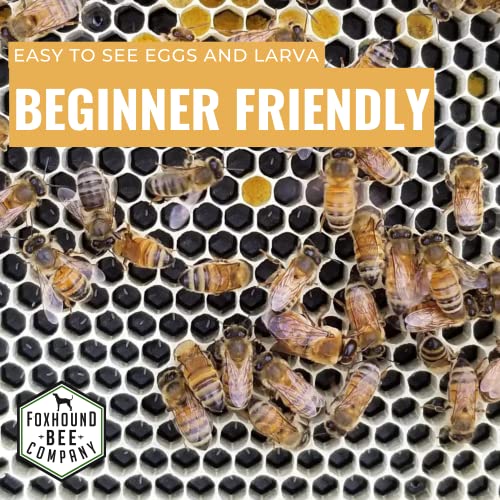 Foxhound Bee Company - Made in USA - Fully Assembled Deep Beekeeping Frames with Double Wax Beeswax Coated Plastic Foundation - 20 Pack - style: Deep - 20 pack