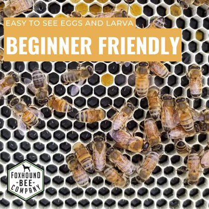 Foxhound Bee Company - Made in USA - Fully Assembled Deep Beekeeping Frames with Double Wax Beeswax Coated Plastic Foundation - 20 Pack - style: Deep - 20 pack