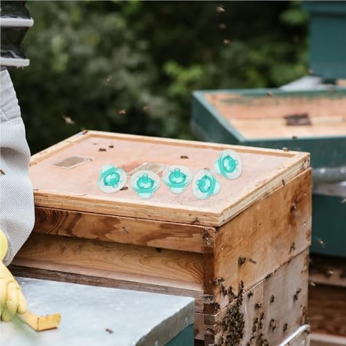 300Pcs Rearing Cups Bee Breeding Cells for Efficient Beekeeping Storage Easy Management Tool for Beekeepers