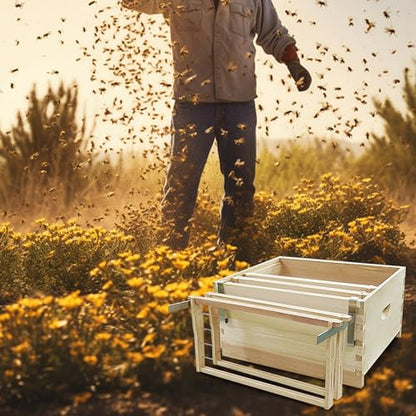 Beehive Frame Holder, 2PCS Stainless Steel Bee Hive Stand, 5 Full Frame Capacity Bee Holder, Beekeeping Supplies for Beekeeper Beehive