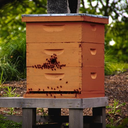 Colingmill 3 Pcs Telescoping Bee Hive Cover 10 Frame Bee Hive Metal Cover for Beekeepers the Rain from Getting into the Part