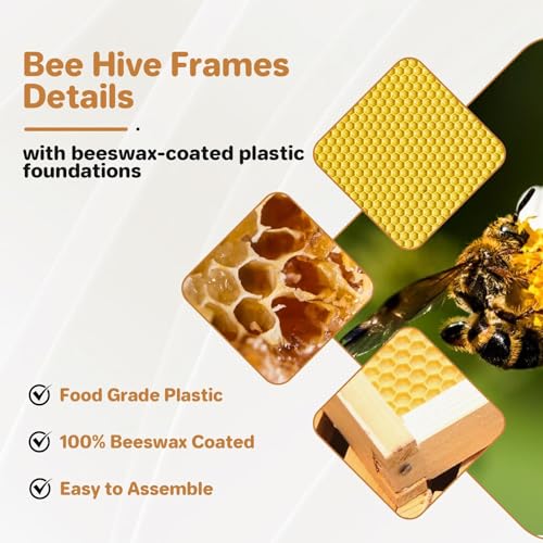 Langstroth Beehive Kit – 2 Deep & 1 Medium Cedarwood Boxes, Observation Window, Beeswax-Coated Frames & Foundations,Waterproof Complete Starter Set for Beekeeping –Traditional Fir Beehive,56×46×76cm