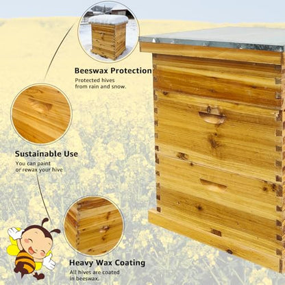 Beeswax Coated Bee Hive Starter Kit - 3 Layer Langstroth Beehive with 2 Deep & 1 Medium Super Boxes - Premium Wood Honey Bee House, Metal Top Cover & Queen Excluder (No Frames)