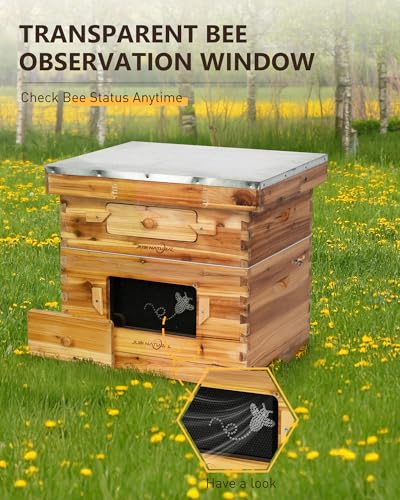 Bee Hive 10 Frame Bee Box Starter Kit, Beeswax Coated Bee Hives | 1 Deep + 1 Medium Langstroth Beehive Kit, Beekeeping Supplies with Transparent Plastic Window and Queen Excluder - size: 1Deep+1Madium Bee Box