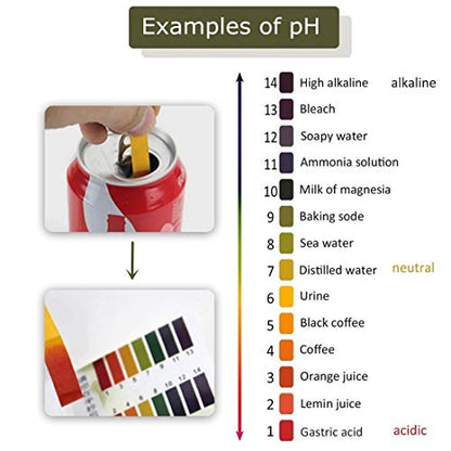 3 Pack pH.1-14 Test Paper Extensive Test Paper Litmus Test Paper 240 Strips pH Test with Storage Case for Saliva Urine Water Soil Testing Pet Food and Diet pH Monitoring (3 Pack with Storage Case) - size: 3 Pack with Storage Case