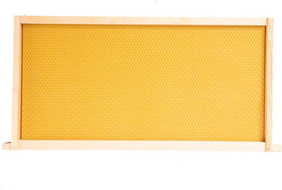 BeeCastle 40-Pack Beehive Frames Bee Hive Frame with Waxed Foundation Sheet Unassembled Beehive Frames, 9-1/8-Inch(Yellow) - size: 40-Pack