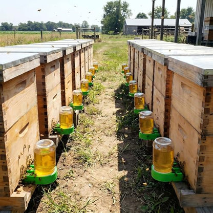 4 Pack Bee Hive Feeder -Green Entrance Feeders for Bee Hives - Easy and Effective Water or Sugar Syrup Feeding Solution (Upgraded Version) - color: Green
