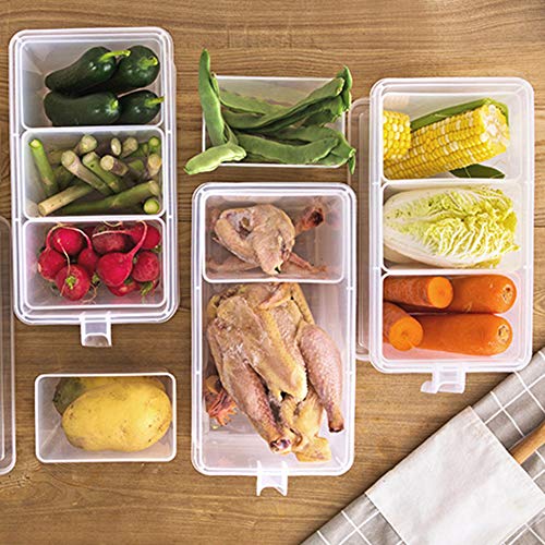 2 Pack Plastic Divided Veggie Storage Containers with Lids and Handles for Fridge Storage Organizer Boxes for Refrigerator Produce Beans Fruits Organzation - style: 2Pack with 6 dividers