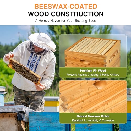CREWORKS 20 Frame Bee Hive, Beeswax Coated Beehive Kit with Medium & Deep Boxes, Langstroth Bee Hive Boxes Starter Kit, Bees Hives Box with Transparent Acrylic Window - style: 2 Layers
