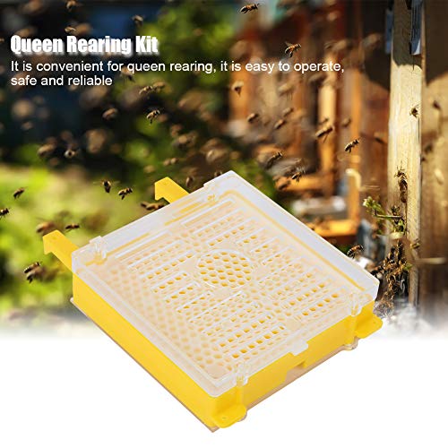 Queen Rearing Grafting Kit, Queen Bee Rearing Kit, Grafting Tool Set for Beginner Beekeepers Beekeeping Apiculture Supplies