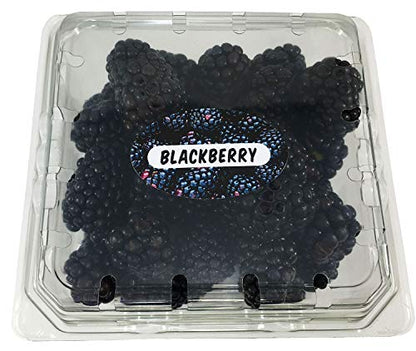 BlackBerry Grocery Store Food Labels 1.25 x 2 Inch Oval Shape 500 Total Adhesive Stickers - color: Blackberry