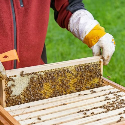Stingproof Goatskin Beekeeping Gloves, 3-Layer Breathable Sleeve(M) | Elastic cuffs for a secure bee-proof seal, unisex comfy fit, ideal for both beginner of professional beekeepers - size: M