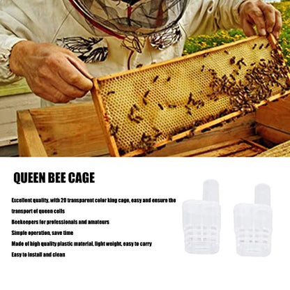 20Pcs Beekeeping Rearing Cup Kit, Plastic Apis Queen Cages Transporting Catcher Insectary Box Beekeeper Equipment Tool, Easy to Install and Clean for Professional and Amateur Beekeepers