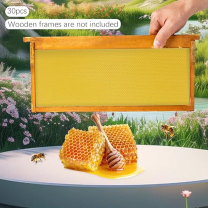 Bee Hive Foundation Sheets 30 Pack, Natural Beeswax Foundation for Deep Frames, Easy Insert for Beekeeping Supplies & Honeycomb Hive Building