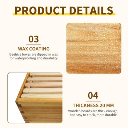 10 Frame Langstroth Medium Super Box Dipped in Beeswax, Bee Hive Box Sections of Wood for Beehives Include Beehive Frames and Wax Foundations, 20 Pack(Green Unassembled) - size: Medium 20pack