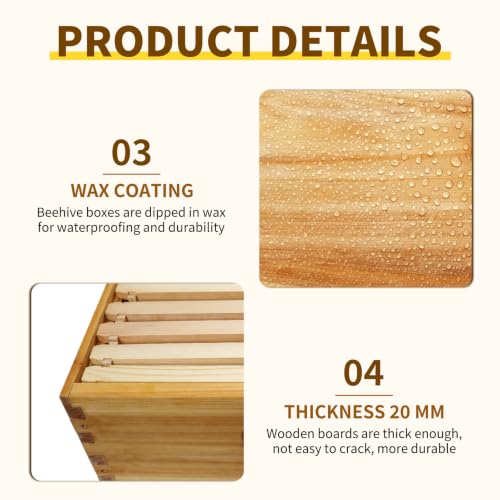 10 Frame Deep Brood Box Langstroth Bee Hive Box Dipped in Beeswax, Sections of Wood for Beehives Include Beehive Frames and Wax Foundations, 20 Pack(Green Unassembled) - size: Deep 20pack