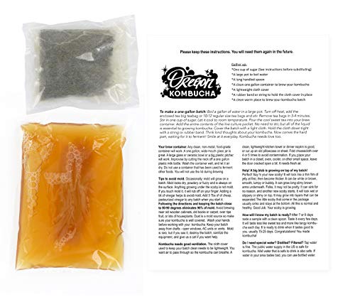 Kombucha Starter Kit by Oregon Kombucha | Organic Strawberry Green Tea and Scoby w/ Starter Liquid - Raw Culture Brews 1 Gallon of Delicious Kombucha, Guaranteed