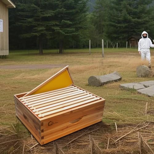 10 Frame Medium Super Bee Hive Box, Langstoth Beehive Honey Super Box, Bee Box Dipped in 100% Beeswax Includes Wooden Beehive Frames & Waxed Foundations for Beginner Beekeeper