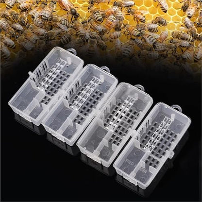 Queen Bee Cage 30pcs Bee Tools King Transparent Cage Transport Queen Rearing Cell Prisoner Beekeeping Supplies for Beekeeping Supplies