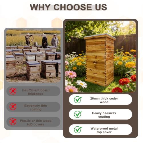 5-Layer Langstroth Beehive Kit, Beeswax Coated Wood Bee Hive with 2 Deep Breeding Boxes and 3 Medium Super Boxes, 10-Frame Standard Wooden Bee House with Waterproof Metal Top, No Frames