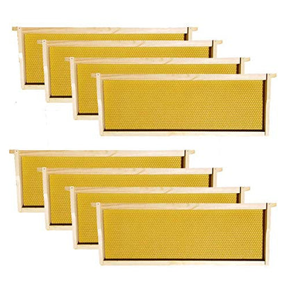 8 Frame Medium Super Box w/Dovetail Joints (Unassembled w/Frames and Foundations)