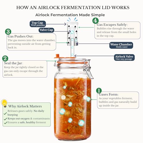 JILLMO Wide Mouth Glass Fermentation Jar with Airlock & Glass Weight, 2L (64oz) Fermenting Jar for Sauerkraut, Kimchi, Pickles & More,Pack of 2 - size: 2 Liter