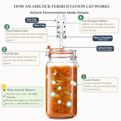 JILLMO Wide Mouth Glass Fermentation Jar with Airlock & Glass Weight, 2L (64oz) Fermenting Jar for Sauerkraut, Kimchi, Pickles & More,Pack of 2 - size: 2 Liter