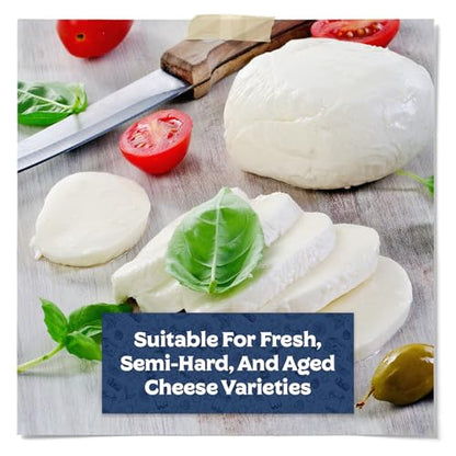 Microbial Rennet For Cheese Making | Vegetarian Rennet Tablets | Milk Coagulant | Vegan Cheese making | Shelf-Stable Rennet Tablets, Perforated For Easy Use