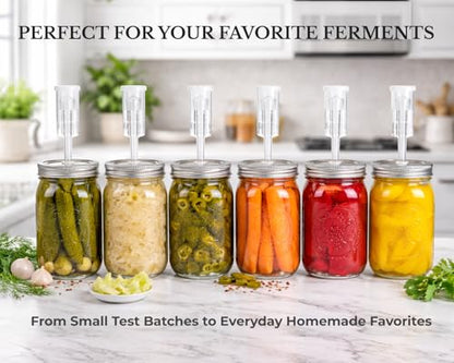 Jillmo Fermentation Lids for Wide Mouth Mason Jars, Stainless Steel Auto Venting Fermenting Lid Kit with Airlocks & Silicone Grommets for Pickles, Kimchi & Sauerkraut, 6 Pack, No Jars Included - size: Pack of 6