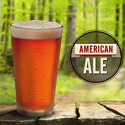 Mr. Beer American Ale Light 2 Gallon Homebrewing Refill - style: American Ale