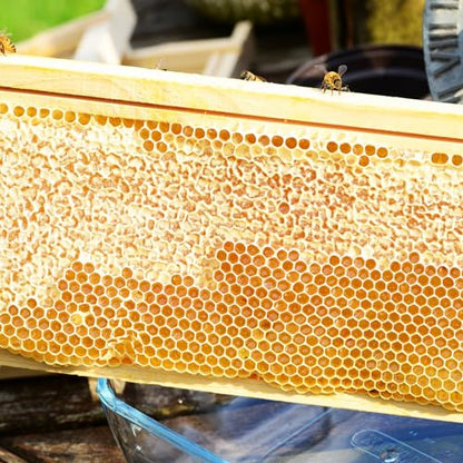 BeeTech 10-Pack Medium Super Box Wooden Beehive Frames and Beeswax Dipped Plastic Foundations for Beekeeping (Unassembled) - size: medium frames