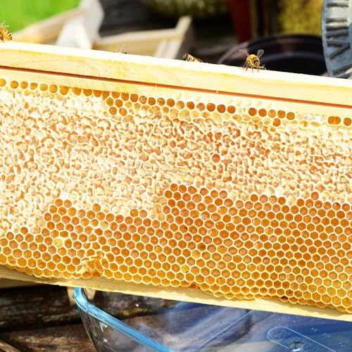 BeeTech 10-Pack Medium Super Box Wooden Beehive Frames and Beeswax Dipped Plastic Foundations for Beekeeping (Unassembled) - size: medium frames
