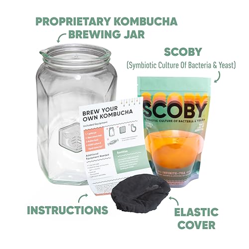 Craft A Brew - Kombucha Basic Starter Kit - For Home Brewing - Includes Fresh Kombucha SCOBY Starter, 1 Gallon Fermenting Jar, Cloth Cover, Brewing Guide - color: Basic Kit