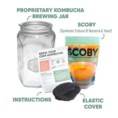Craft A Brew - Kombucha Basic Starter Kit - For Home Brewing - Includes Fresh Kombucha SCOBY Starter, 1 Gallon Fermenting Jar, Cloth Cover, Brewing Guide - color: Basic Kit