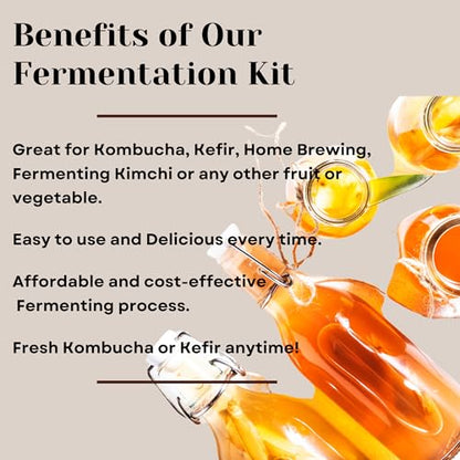 Jarming Collections Complete Kefir Starter Kit/Kombucha Fermentor Kit-1 Mason Jar Wide Mouth-Plastic Storage Lid - HIC(4 Inch) Nylon Mesh Strainer-Cotton Cloth Cover and Wood Spoon (Half Gallon)
