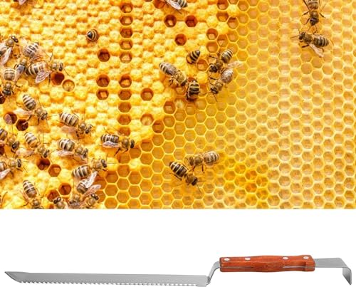 Multifunctional Stainless Steel Honey Cutter Knife Scraper Beekeeping Tool with Wood Handle for Honey Harvesting Extracting Bee Keeping,Honey Uncapping Knife, Honey Cutter Honey Knife