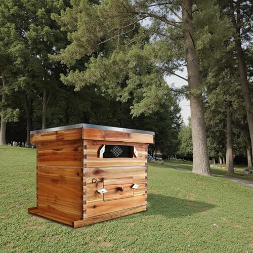 Traditional Cedar Bee Hive Kit, 10-Frame Langstroth with 1 Deep & 1 Medium Box, Acrylic Observation Window, Beeswax-Coated Frames & Foundations for Beginner Beekeepers