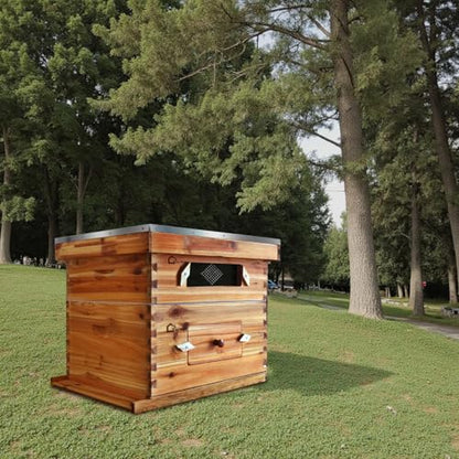 Traditional Cedar Bee Hive Kit, 10-Frame Langstroth with 1 Deep & 1 Medium Box, Acrylic Observation Window, Beeswax-Coated Frames & Foundations for Beginner Beekeepers