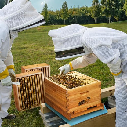 Beehive Starter Kit 10-Frame Bee Boxes and Frames Starter Kit Wax Coated Bee Hives and Supplies Starter Kit Including Beekeeping Tools Kit with Beekeeping Veil - size: 10 Frames