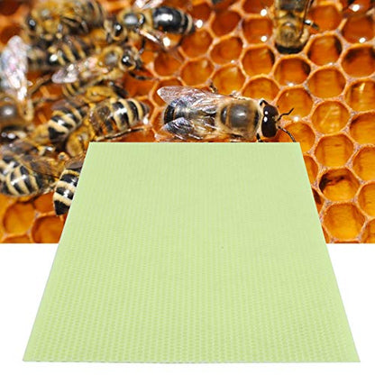 10Pcs Green Plastic Beekeeping Honey Sheet Beeswax Beehive Foundation Pure Natural Beehive Wax Comb Texture Safe Odorless Accelerate Hatching Create More Honey for Beekeepers