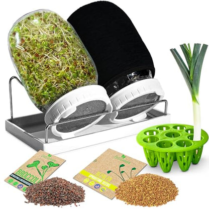Broccoli Sprouting Kit & Green Onion Regrower with USA Organic Broccoli & Alfalfa Seeds – 2 Wide-Mouth Mason Jars, Sprout Lids, Stainless Stand, Drain Tray & Blackout Sleeves (Sprout Jar + Seeds) - color: Sprout Jar + Seeds
