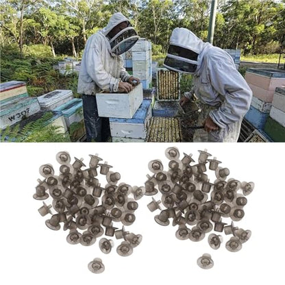 300PCS Queen Bee Rearing Cup Plastic Vivid Color Beekeeping Bee Cell Cup for Beekeeper Equipment Bees Tools(Gray) - color: Gray