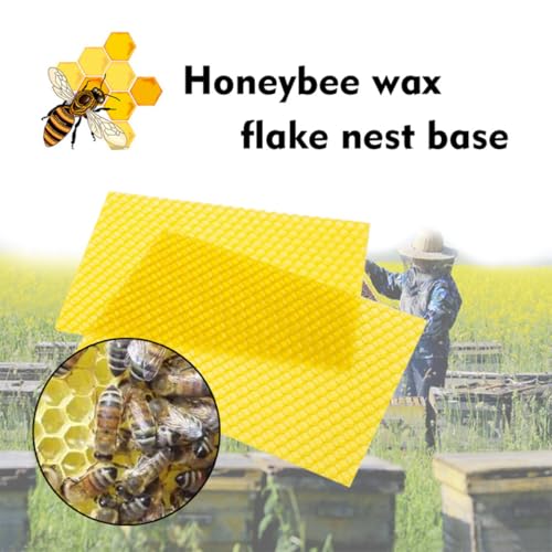 10pcs Beehive Foundation Sheets Beeswax Sheets for Beekeeping Tool Natural Beeswax Material