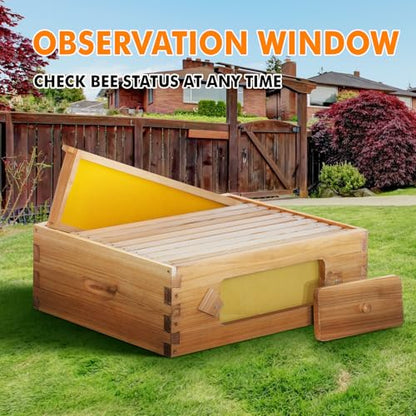 Honey Lake 10 Frame Beehive Medium Super Box with Window, Langstroth Bee Hive Box Kit Dipped in Beeswax Include Wooden Frames & Waxed Foundations, Bee Boxes for Beekeeping Supplement (Unassembled) - size: 10-Frame